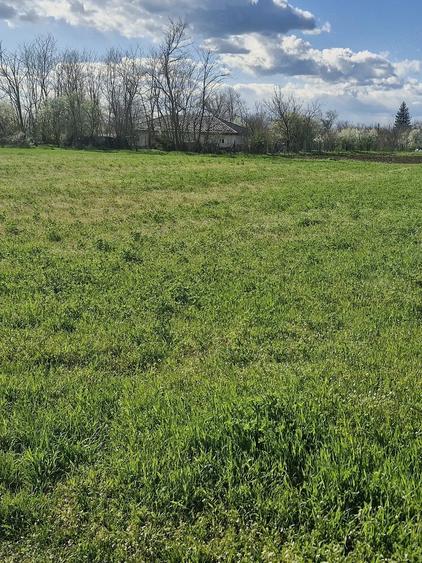 Teren de 1800 mp, în Valea Argovei