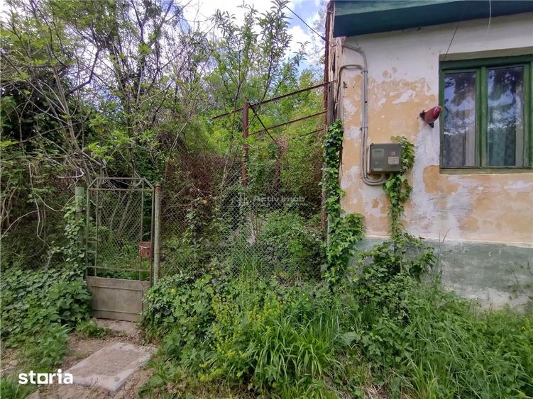 Sasca Montana | Oportunitate | Casa cu 230 MP Teren - 4