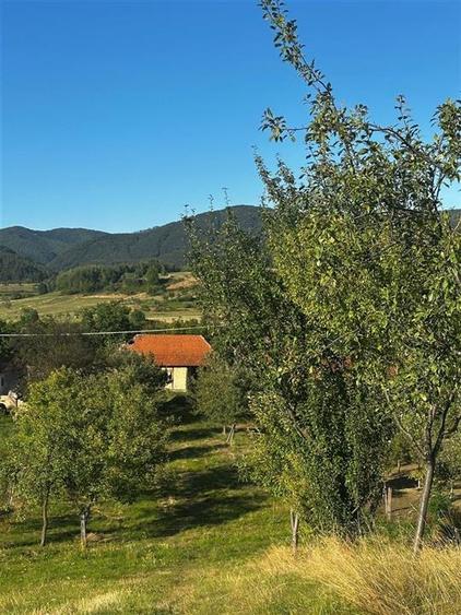 Casă individuală cu 2 camere cu Teren 4000 Mp în Budureasa