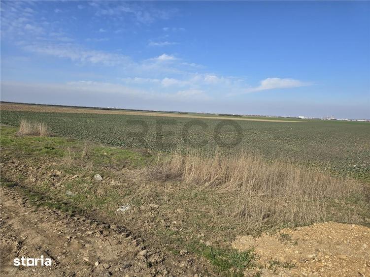 Teren de 22418 mp, în Calea Aradului
