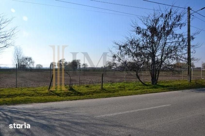 Teren de 5600 mp, în Sălcioara
