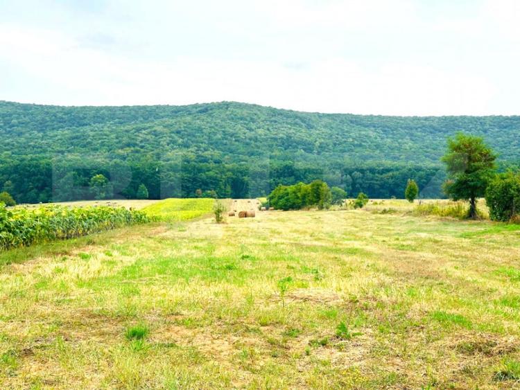 Teren de 15000 mp, în Poieni