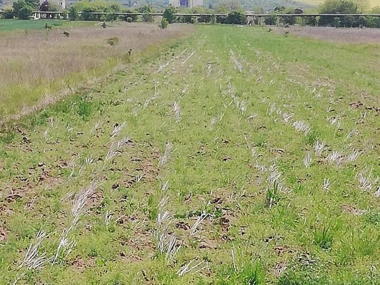 Teren Construcții extravilan de 5000 mp, în Exterior Nord
