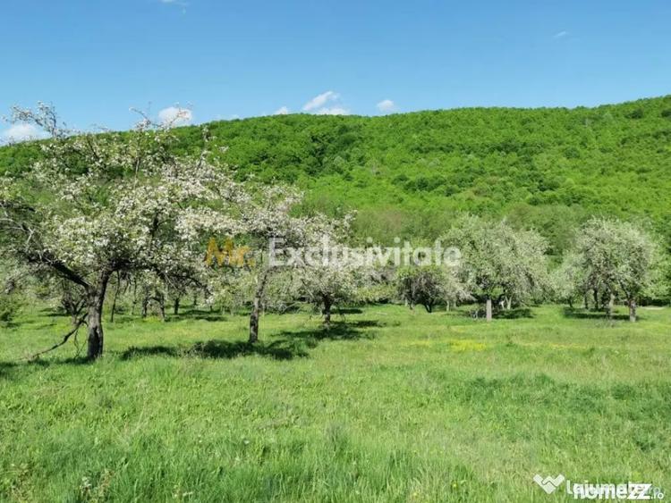 Teren în Budeasa