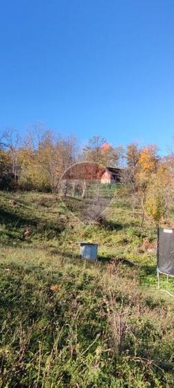 Teren Construcții intravilan de 5474 mp, în Provița de Jos