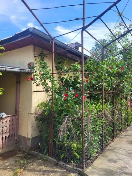 Casă cu 3 camere cu Teren 2200 Mp în Central
