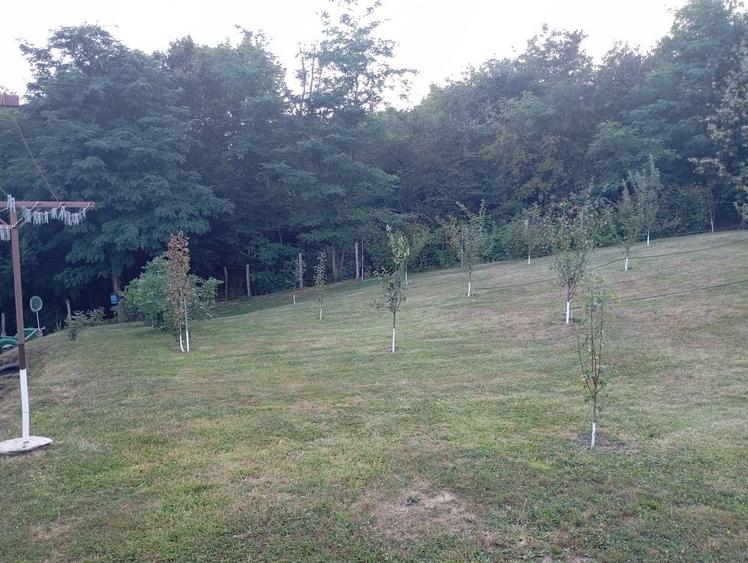 Casă cu 2 camere în Oprești