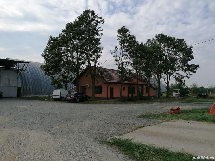 Teren în Ciochina