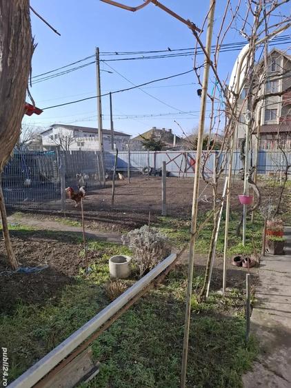 Casă cu 3 camere cu Teren 650 Mp în Sfântu Gheorghe