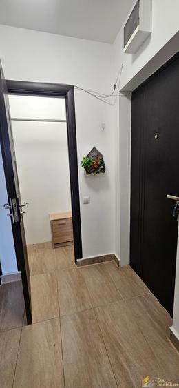 Apartament 2 camere de inchiriat Cismigiu - 10