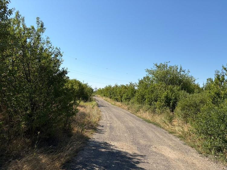 Teren agricol extravilan de 35000 mp, în Exterior Vest