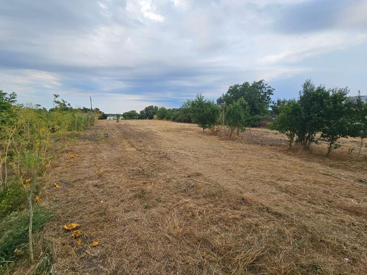 Teren agricol intravilan de 1600 mp, în Samurcași