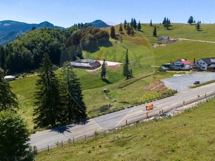 Teren agricol extravilan de 56599 mp, în Dâmbovicioara