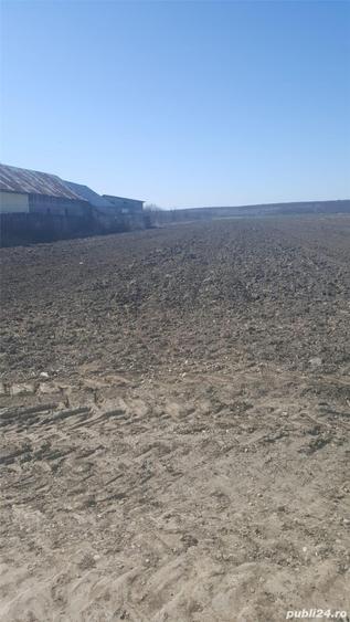 Teren de 7444 mp, în Dărmănești