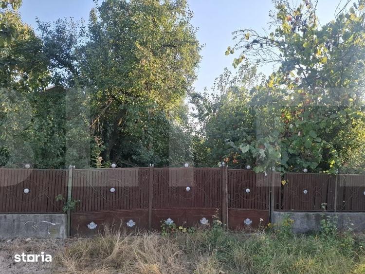 Casă cu Teren 5038 Mp în Pleșoiu