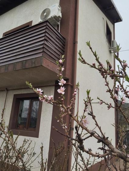 Casă cu 3 camere cu Teren 440 Mp în Berceni