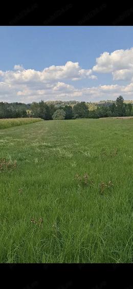 Teren de 6764 mp, în Chechiș