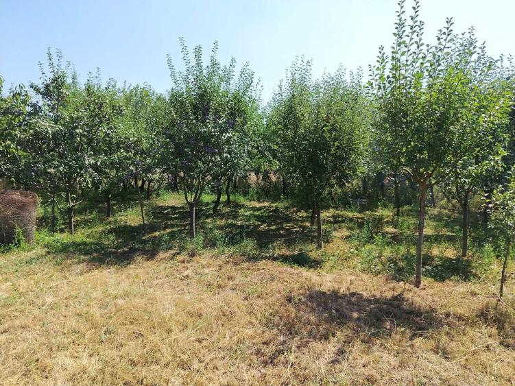 Casă cu 2 camere în Tușinu