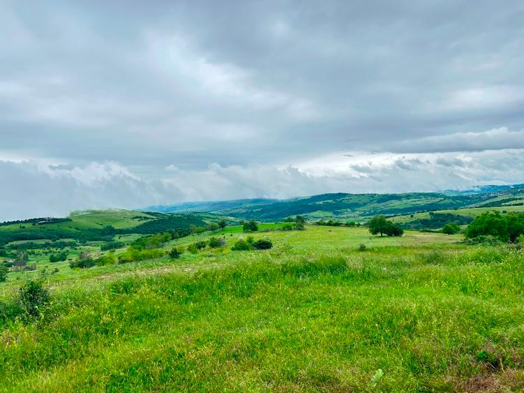 Teren agricol extravilan de 3600 mp, în Jugureni