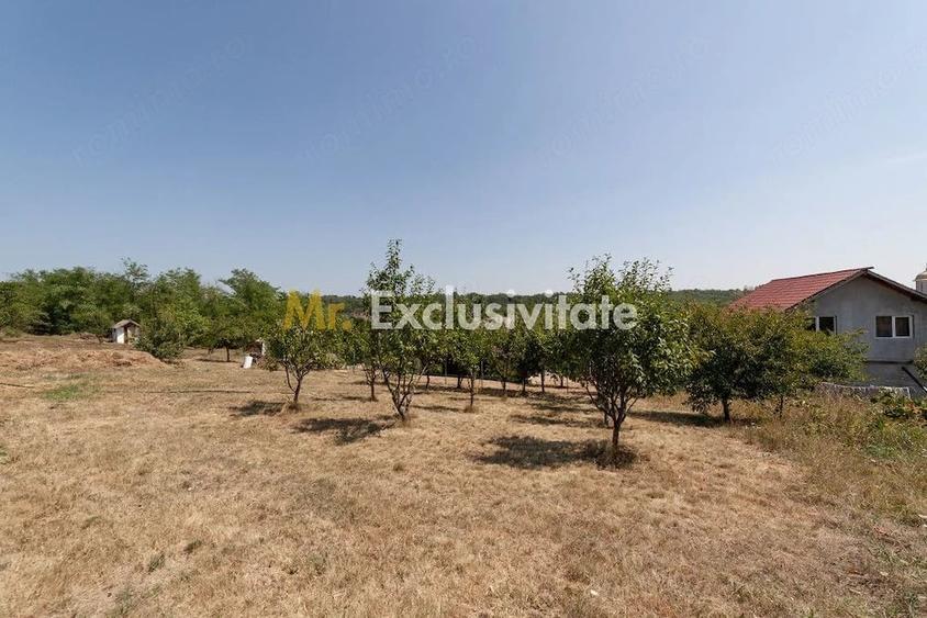 Casă cu Teren 1175 Mp în Central