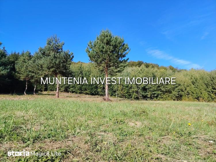 Teren de 5596 mp, în Bradu