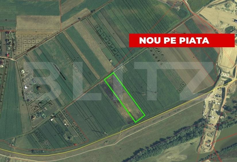 Teren Construcții extravilan de 13900 mp, în Partoș