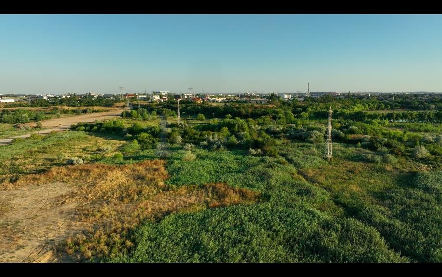 Teren agricol intravilan de 5000 mp, în Sud