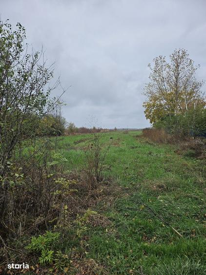Teren de 18469 mp, în Butimanu