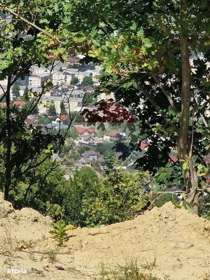 Casă cu 3 camere cu Teren 6000 Mp în Central