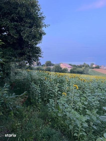 Teren de 2000 mp, în Moara