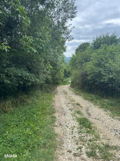 Teren de 6000 mp, în Central