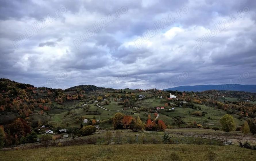 Teren de 2500 mp, în Sohodol