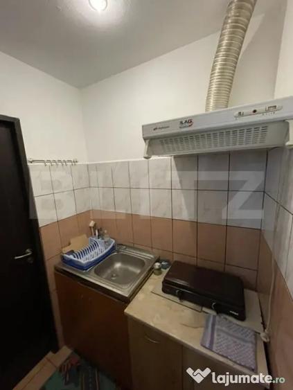 Garsonieră, mobilată în Calea Severinului