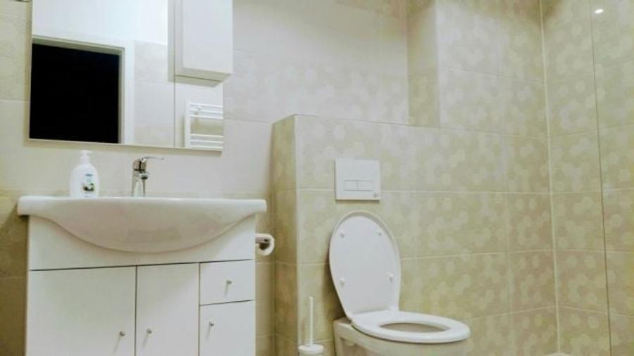 inchiriez apartament cu 2 camere Green Vista Pipera - 3