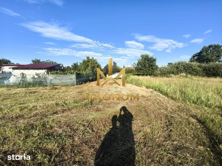 Teren de 600 mp, în Tăuții-Măgherăuș