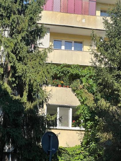 Apartament cu 3 camere decomandat în Mănăștur
