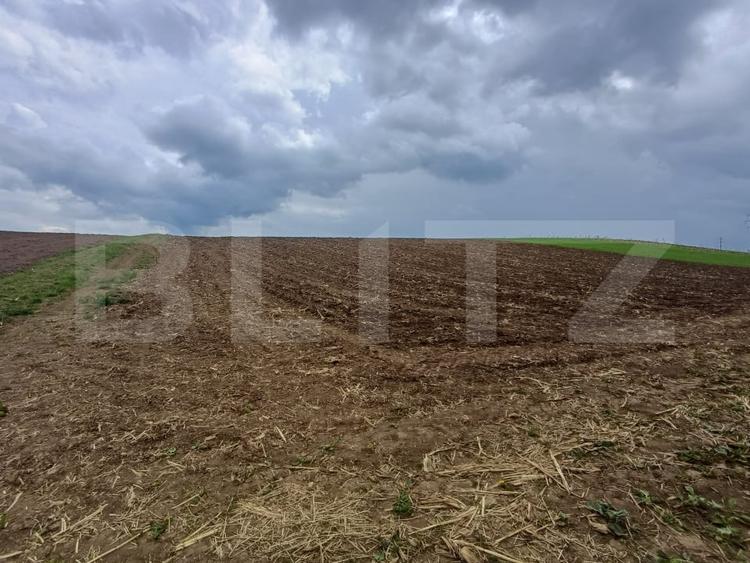 Teren agricol extravilan de 5000 mp, în Periferie