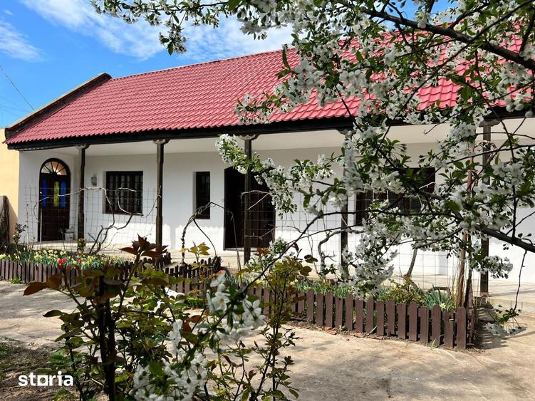 Comision 0 - Centru - Sanandrei - Casa renovata + teren 850 mp - 11