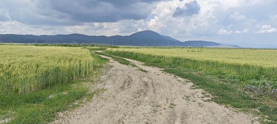 Teren agricol extravilan de 13000 mp, în Caragiale