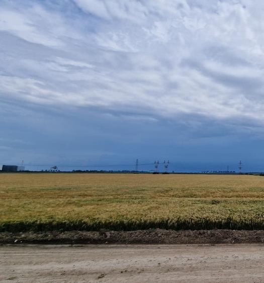 Teren Construcții intravilan de 30000 mp, în Ștefăneștii de Jos