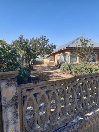 Casă cu Teren 2000 Mp în Comana