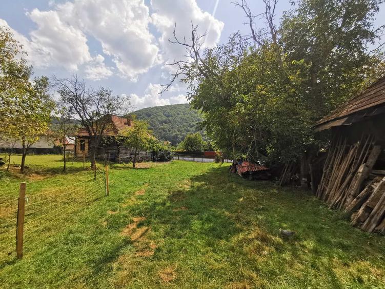 Casă cu 2 camere în Negreni