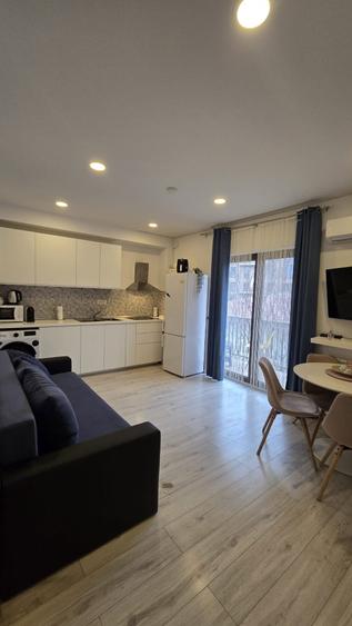 Apartament cu 2 camere decomandat, mobilat în Parcul Carol
