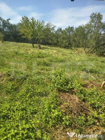 Casă cu 2 camere cu Teren 1200 Mp în Nord
