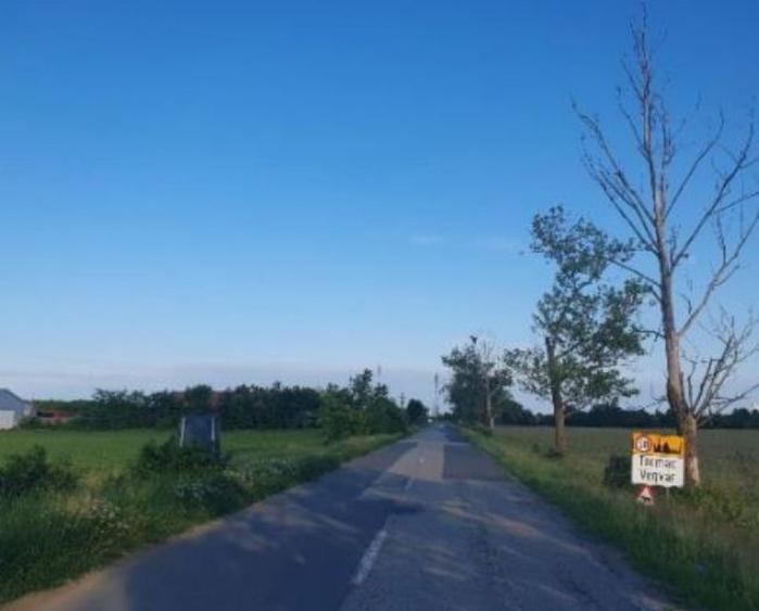 Cota de 1/2 teren intravilan, localitatea Tormac, jud. Ti... - 1