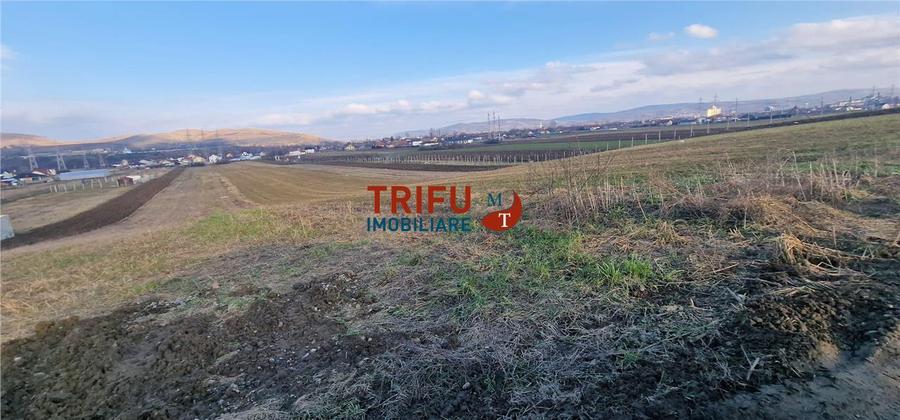 Teren Construcții intravilan de 2125 mp, în Bărăbanț