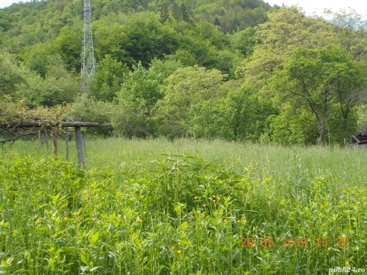 Teren de 2300 mp, în Central