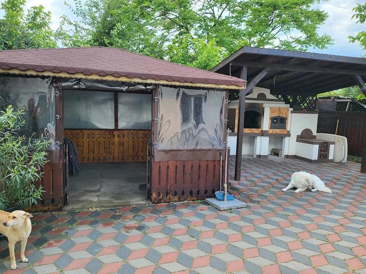 Casă cu 3 camere cu Teren 913 Mp în Dărăști-Vlașca