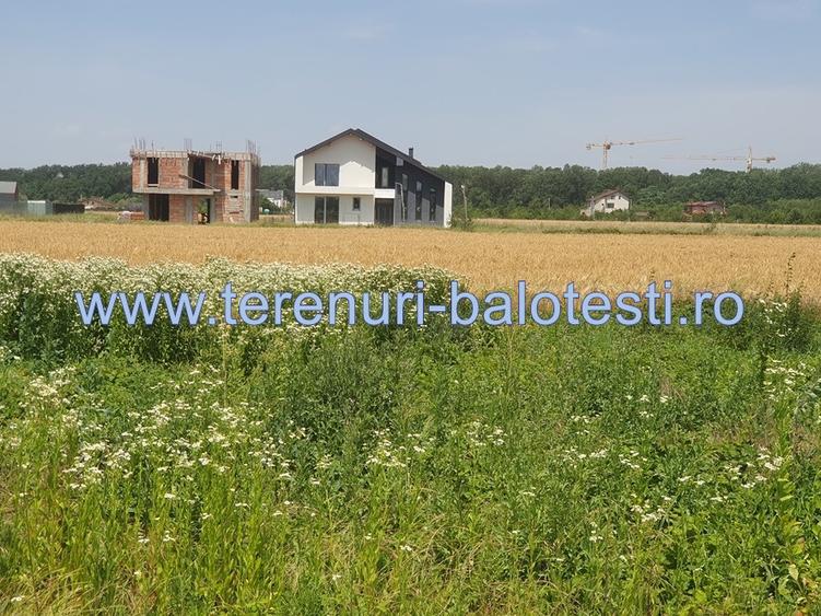 Teren Balotesti,padure Sri,19500 euro - 7