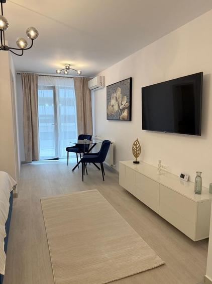 Studio de inchiriat HILS Brauner 39,3 mp, Direct propietar, Se accepta animale de companie, Loc de parcare inclus - 3